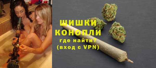 гидра Горнозаводск