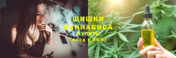 дмт Горно-Алтайск