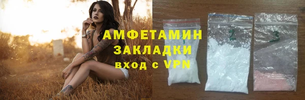 гидра Горнозаводск