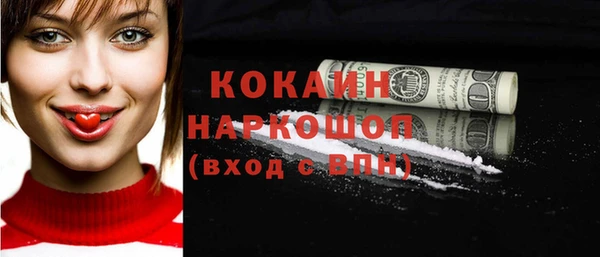 ГАЛЛЮЦИНОГЕННЫЕ ГРИБЫ Гусь-Хрустальный