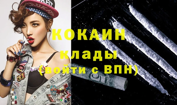 гидра Горнозаводск