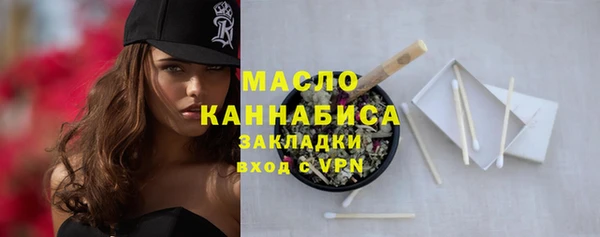 гидра Горнозаводск