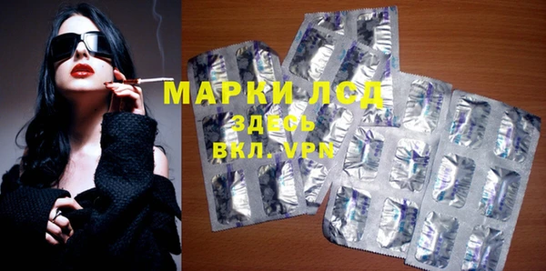 гидра Горнозаводск