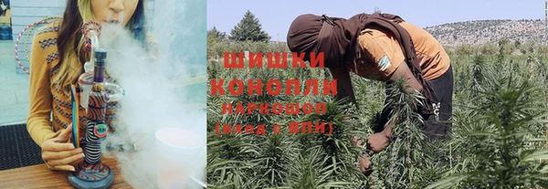 гидра Горнозаводск