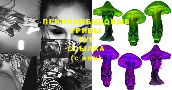 кристаллы Горняк