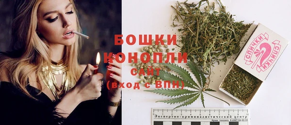 дмт Горно-Алтайск
