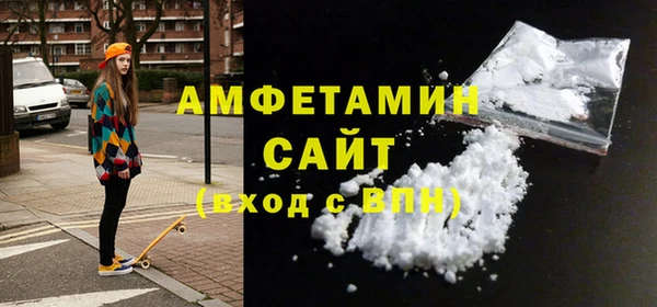 гидра Горнозаводск