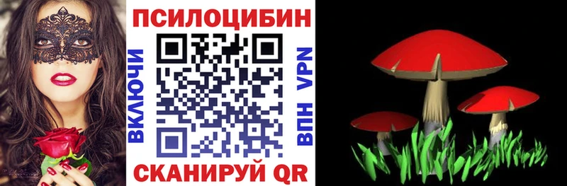 где купить наркоту  Назрань  Галлюциногенные грибы Cubensis 