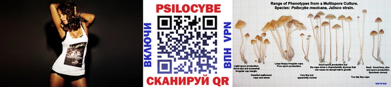 Галлюциногенные грибы Psilocybine cubensis Назрань